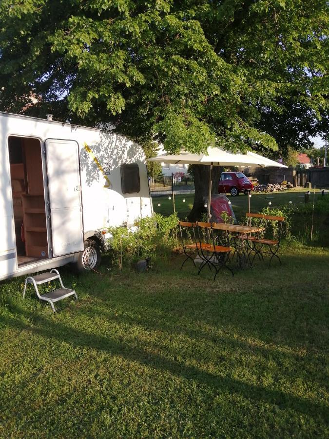 "Campingplatz Altjessen 57" Pirna Ngoại thất bức ảnh